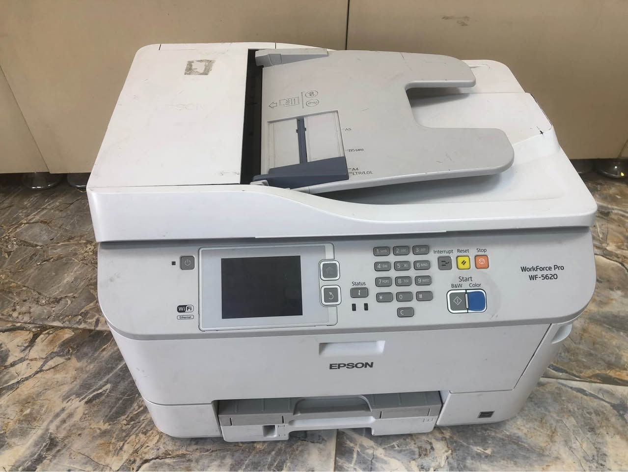 ابسون 5620  
طابعه واي فاي 
شاشه لمس 
وجهين  
تسحب جميع انواع الورق السميك الخاص بالصور 
الفوتو
طابعه نضيفه  وصورتها كلش حلوه  وهيدها نضيف 
تسحب 20 نسخه بالدقيقة طابعه عمليه  وحلوه 
((((((((ملاحظه )))))))(
مجر الورق الي جوه مرات يسحب مرات نايسحب   اما مدخل الورق الفوك شغال 100‎%‎ Singapore


**إذا كنت صاحب هذا الإعلان وتريد حذفه لأي سبب، رجاءا أرسل رسالة إلى الدعم الفني**