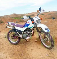 قفاز • بلخاص • كوت زين القوس