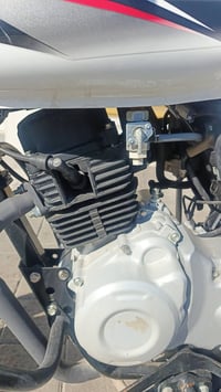 بوكسر • بغداد الورفلي • كفالة عامه