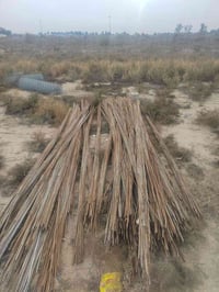 شيش زراعي • ٤م • اللطيفيه