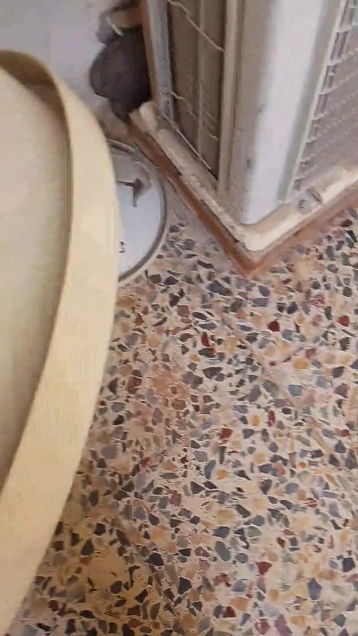 سلام عليكم متاح كربلا حي العسكري
***********
