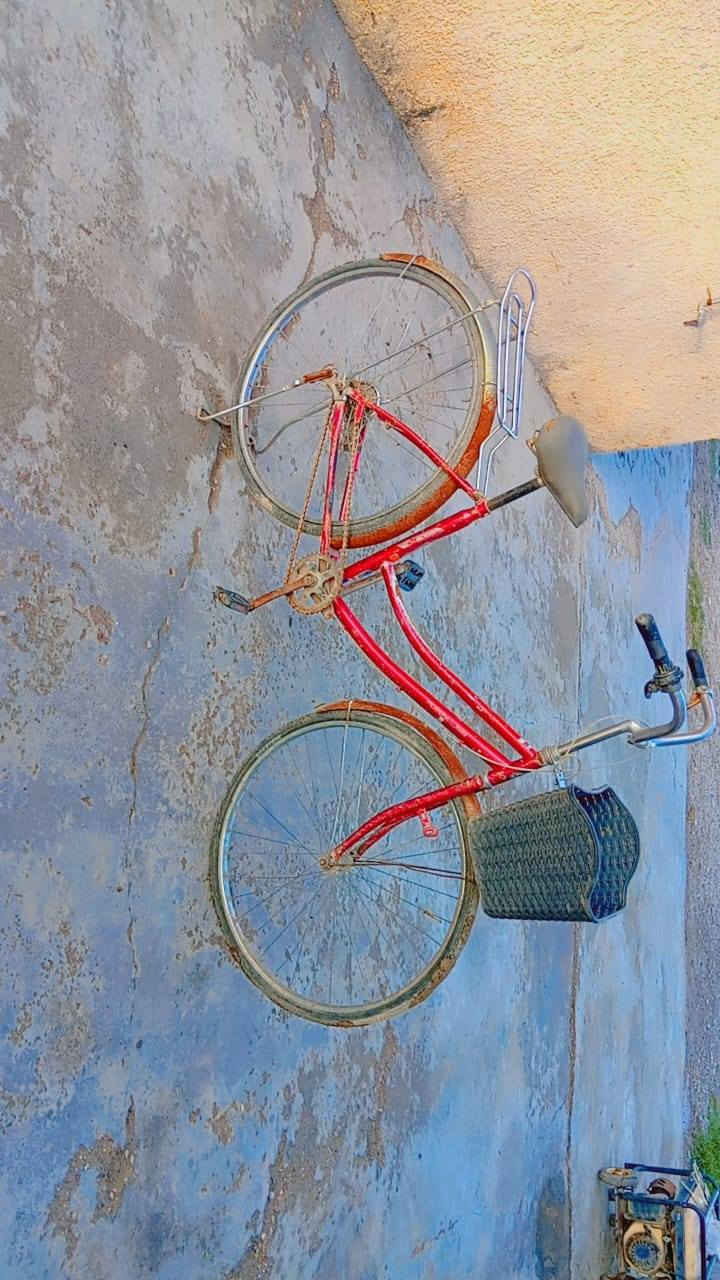 بايسكل للبيع السعر ٣٥ بيه مجال قليل 
موجود خاص او اتصل على الرقم ***********
