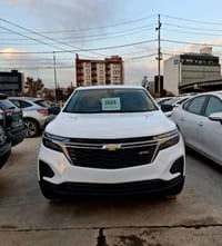 ايكونيكس • ٢٠٢٤ • بدون صبغ