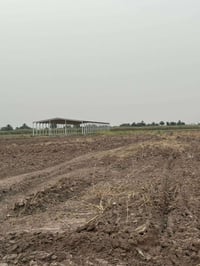 مزرعة دواجن • ٢٢٫٥ دونم • العزيزية واسط