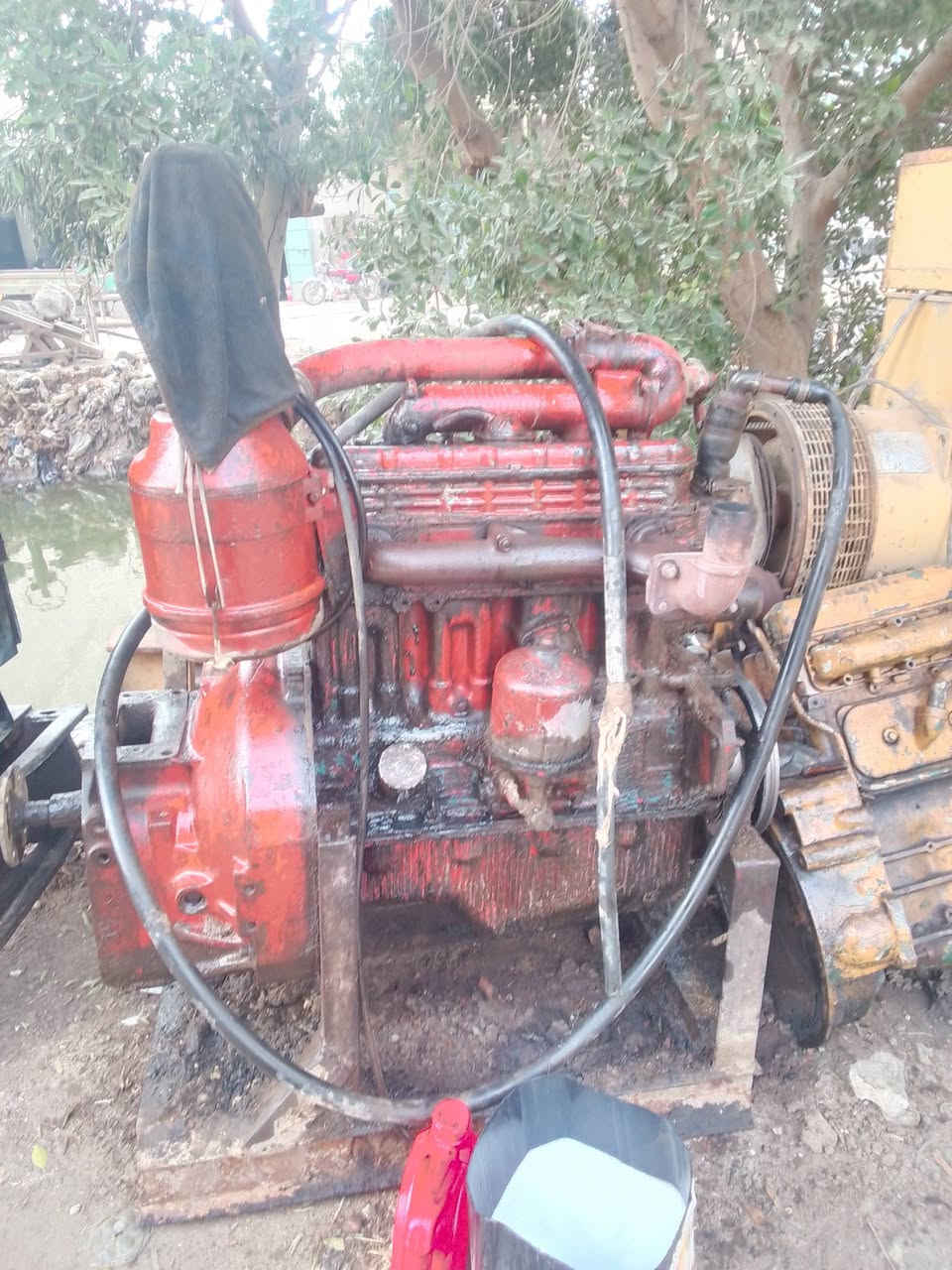 يوجد قطام روسي وقطام افقوا للتواصل 01225878572


**إذا كنت صاحب هذا الإعلان وتريد حذفه لأي سبب، رجاءا أرسل رسالة إلى الدعم الفني**