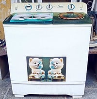 غسالة • غسلي وتنشيف • 30 كيلو