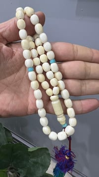 سبحة • عاج اصلي • شاهد عظم