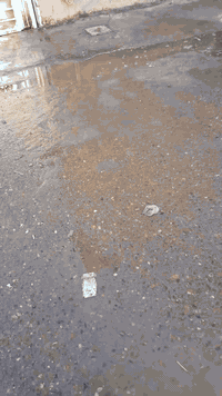 شارع الصياد • ٥٥م • ٤غرف