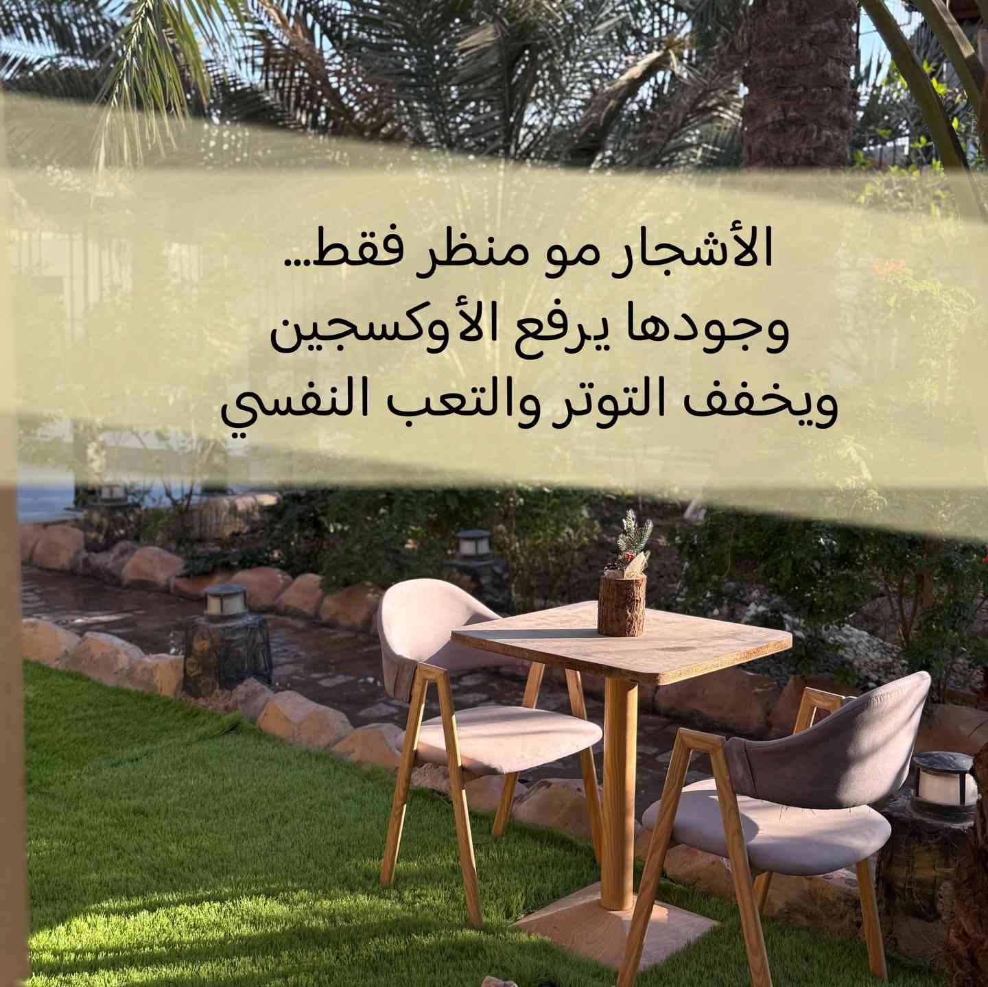 للحجز او الاستفسار التواصل عن طريق الرسائل في الانستغرام او الواتساب او على الرقم ***********
