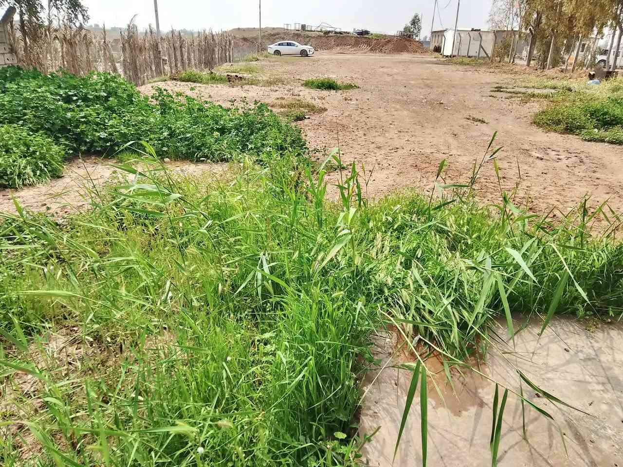 بيت للبيع قاميشلان مساحة البيت 200متر والكاع 1000الف نوع العقار (زراعي) عدد غرف نوم2
استقبال مطبخ حمام صحيات بناء حديث البيت السعر 35مليون وبي مجال رقم الهاتف***********
