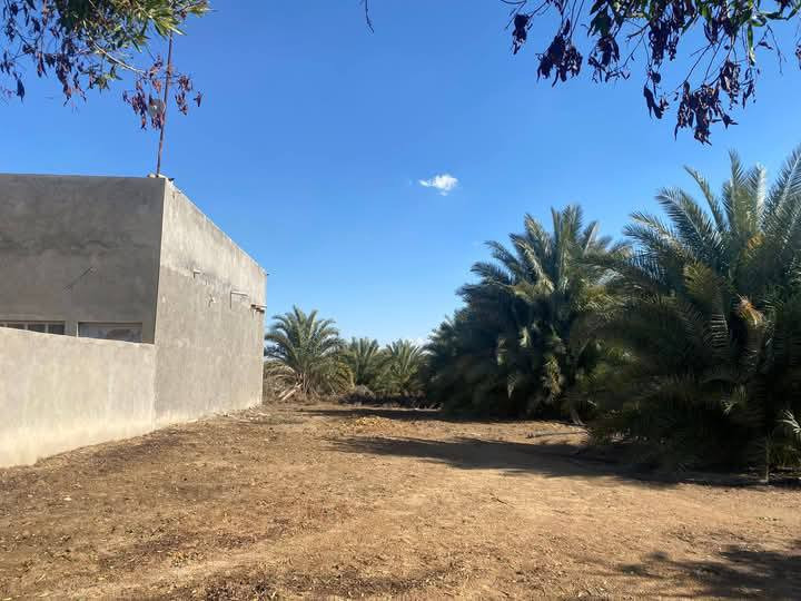 سلام عليكم 
مزرعه 9دونم للبيع معه بيت 230.م.يتكون البيت من 2 غرف.وصاله.مطبخ.وستقبال.مجمع صحيات. 
طابو زراعي سند 25
واجها المزرعه 63م نزال 360م
مكان المزرعه ديوانيه قضاء الشافعيه 
تبعد عن شارء نجف ديوانيه 2 كيلو كافت الخدمات ماء سقس ماء اساله تبليط تنباء نص وتنباء كامله. 
السعر.. 140مليون وقابل للتفاوظ استفسار اكثر اتصال علر رقم.. ***********
