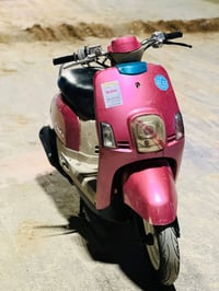 الاستفسار على الرقم 07866541283