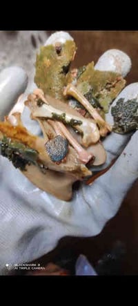 داشکاندن تا ١٥/١/٢٠٢٦ بۆیە هەر ئیستا تەلەفون بکە سەرەیەک بۆ خۆت بنوسە ...