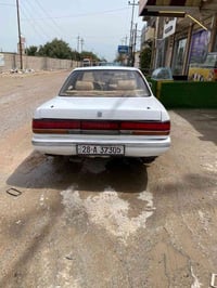 شيزر • رقم نجف • شرط مداور