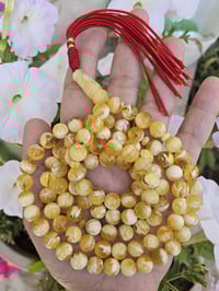 كهرب كلنگرادي حر طبيعي فرز ( كهرب أهل الدار)  ألكويت مشروط مكفول👑 گيمر...