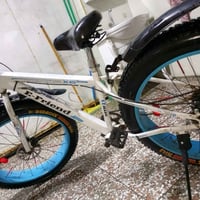 بايسكل دبابة بايسكل نضيف جدا كما موضح في الصورة بريك خلفي جديد لون ابي...