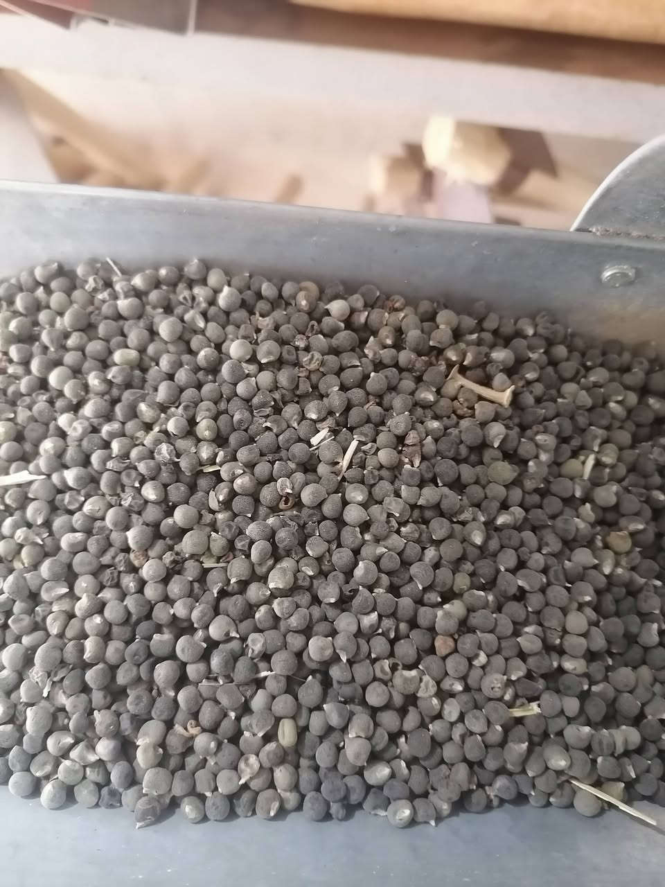 #مسواگ جديد

مكتب الصوافي للخدمات الزراعية والبذور

وصول باميا حسناويه سريعه

باميا بغداديه مال الديره

باميا F1  ميرا

باميه F1بترا

باميا F1 كريمه

باميا حسناويه قوطي انواع
مختلفه

جمله ومفرد
الجدعه الشارع العام

مقابل اقمشه رزان ومطحنه

وميزان الخيرات ***********
