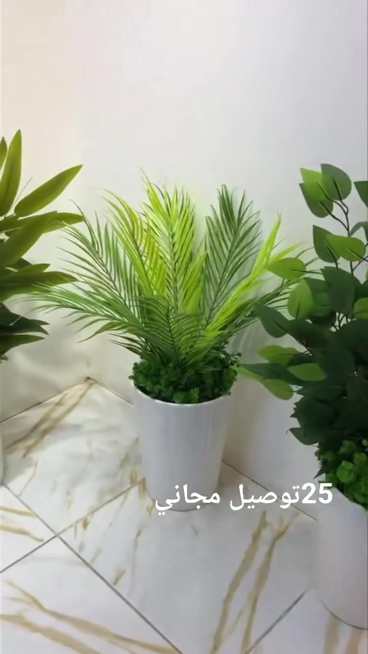 من رخصه الادمن ستاندات صناعيه للبيع توصيل مجاني


**إذا كنت صاحب هذا الإعلان وتريد حذفه لأي سبب، رجاءا أرسل رسالة إلى الدعم الفني**