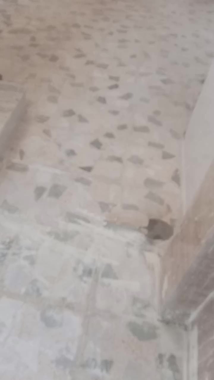 خلفه سيراميك وبورسلين وكاشي ومرمر شغل درجة اولى علي الليزر وسرعه العمل واسعار تناسب الجميع ***********بيه واتس
