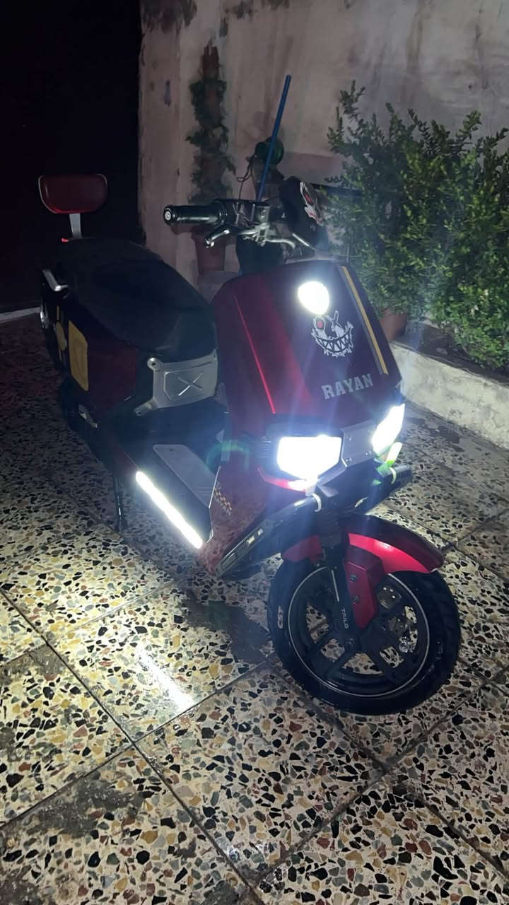 للبيع ريان وحش الكون فول مواصفات السعر 750 وبيه مجال حك الجيه مكاني بغداد العامريه


**إذا كنت صاحب هذا الإعلان وتريد حذفه لأي سبب، رجاءا أرسل رسالة إلى الدعم الفني**