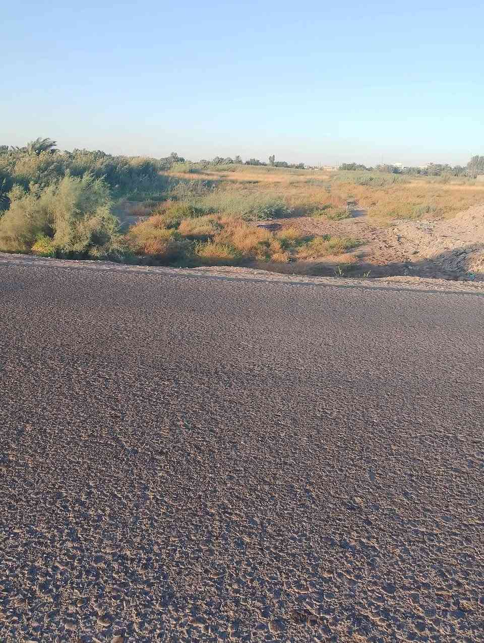 بسم الله الرحمن الرحيم
نصف دونم زراعي للبيع يقع في مدينة الكوت منطقة اليوسفية قريب من السايلو وعلى الشارع التبليط مباشرةً فقط محرم الشارع وكذلك تقع الأرض على ركنين شارع رئيسي وشارع جانبي. تصلح أن تكون ملعب تارتان أو شاليه أو معمل أو مخازن كبيرة أو منزل. وجه القطعة 19 متر والنزال 60 متر.. 
السعر 13 مليون وبي مجال. للإستفسار.. ***********
