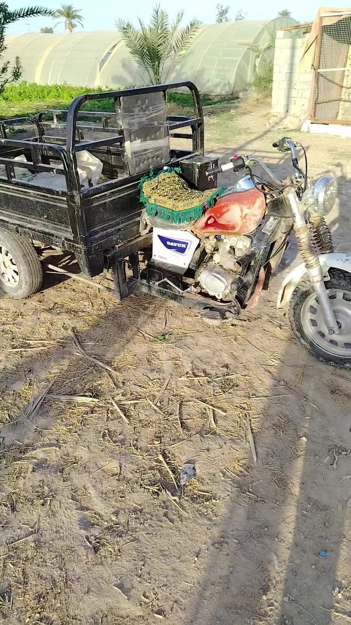 السلام عليكم ستوتي ام تي ار للبيع 2013 ستوته اوراق السعر 800 وبيها مجال مكان ناصريه غراف الشراي بخير ويدلل ما متواجد خاص هذا رقمي***********
