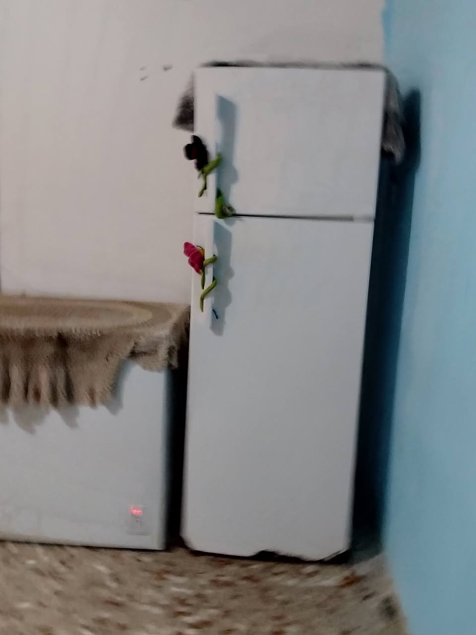 کْنِتٌوٌر ست بيبان. نظيف صاج داخل وخارج سعره 350وبي مجال بسيط
مجمده Denka نظيفه كلش تجميد فول السعر 350وبيها مجال بسيط 

ثلاجه المتين ماداخله تصيح وتجميد فول سعرها 175وبيها مجال بسيط شراي يتفضل خاص المكان حي الوفاء


**إذا كنت صاحب هذا الإعلان وتريد حذفه لأي سبب، رجاءا أرسل رسالة إلى الدعم الفني**