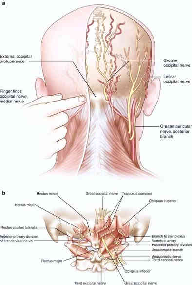 دار شفاء الطب تكميلي علاج بلحجامه ولسع نحل وعلاج الكايريوبراتك وعلاج علق طبي وتحفيز الاعصاب وأبر صنيه 
#العنوان الرمادي شارع 60 مقابل مستشفي الرازي 
حجز ***********
