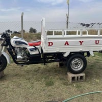 ستوته • دايون • ٢٠١٤