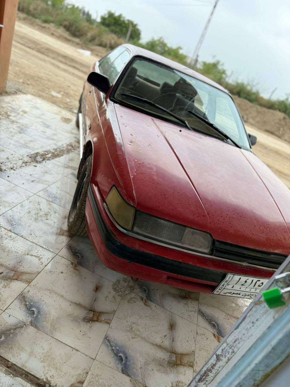 السلام عليكم 
للبيع أبو مراوس حسب القناعه السعر ٢٥ بيها مجال
***********
