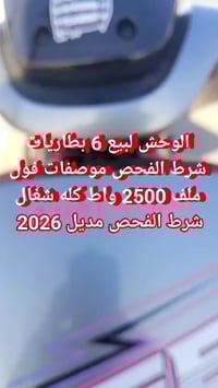 07707428991 بي وتساب وسعر 1000 وبي مجال