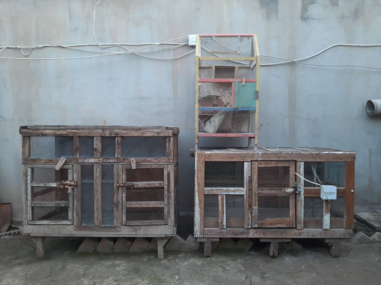 السلام عليكم ورحمة الله
متاح للبيع 3 اقفاص اثنين منهم مال صواصي واحد منهم مال بلابل حب كلهم شلع 50 الف المكان كوكجلي


**إذا كنت صاحب هذا الإعلان وتريد حذفه لأي سبب، رجاءا أرسل رسالة إلى الدعم الفني**