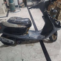 منغولي • شاصي مكفول • محتاج ترتيب