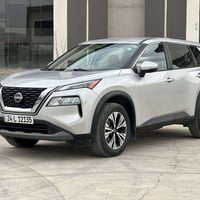 روج ٢٠٢٣ • ٣٠٠٠٠ كم • بدون صبغ