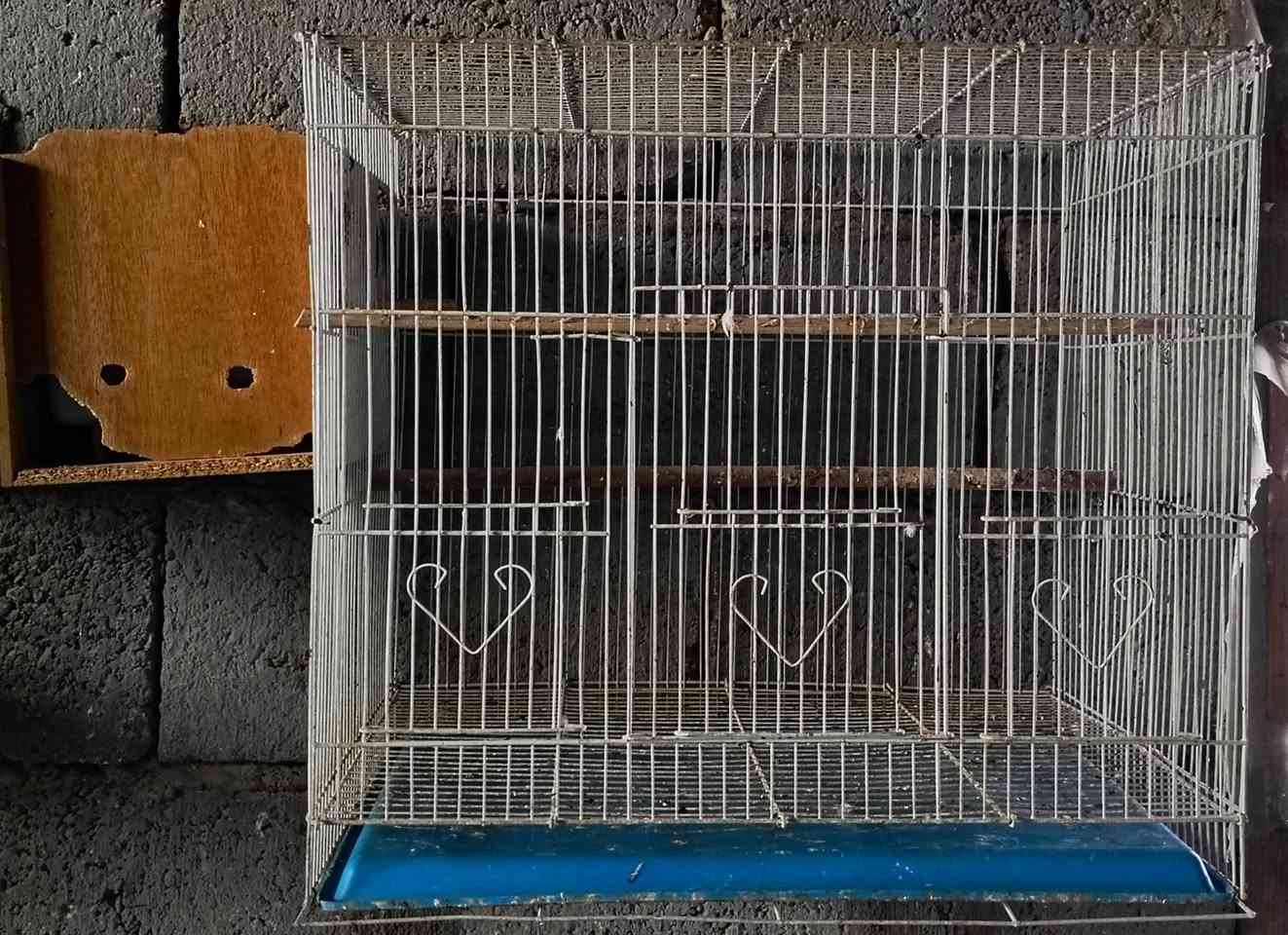 اللهم صل على محمد وآل محمد     متاح   اربع  خانات مستعمله         حي العباس


**إذا كنت صاحب هذا الإعلان وتريد حذفه لأي سبب، رجاءا أرسل رسالة إلى الدعم الفني**