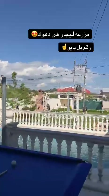متوفر مزرعة اليجار اليومي والشفتات موثقه في تطبيق اجرلي الاستفسار عل الرقم ***********

