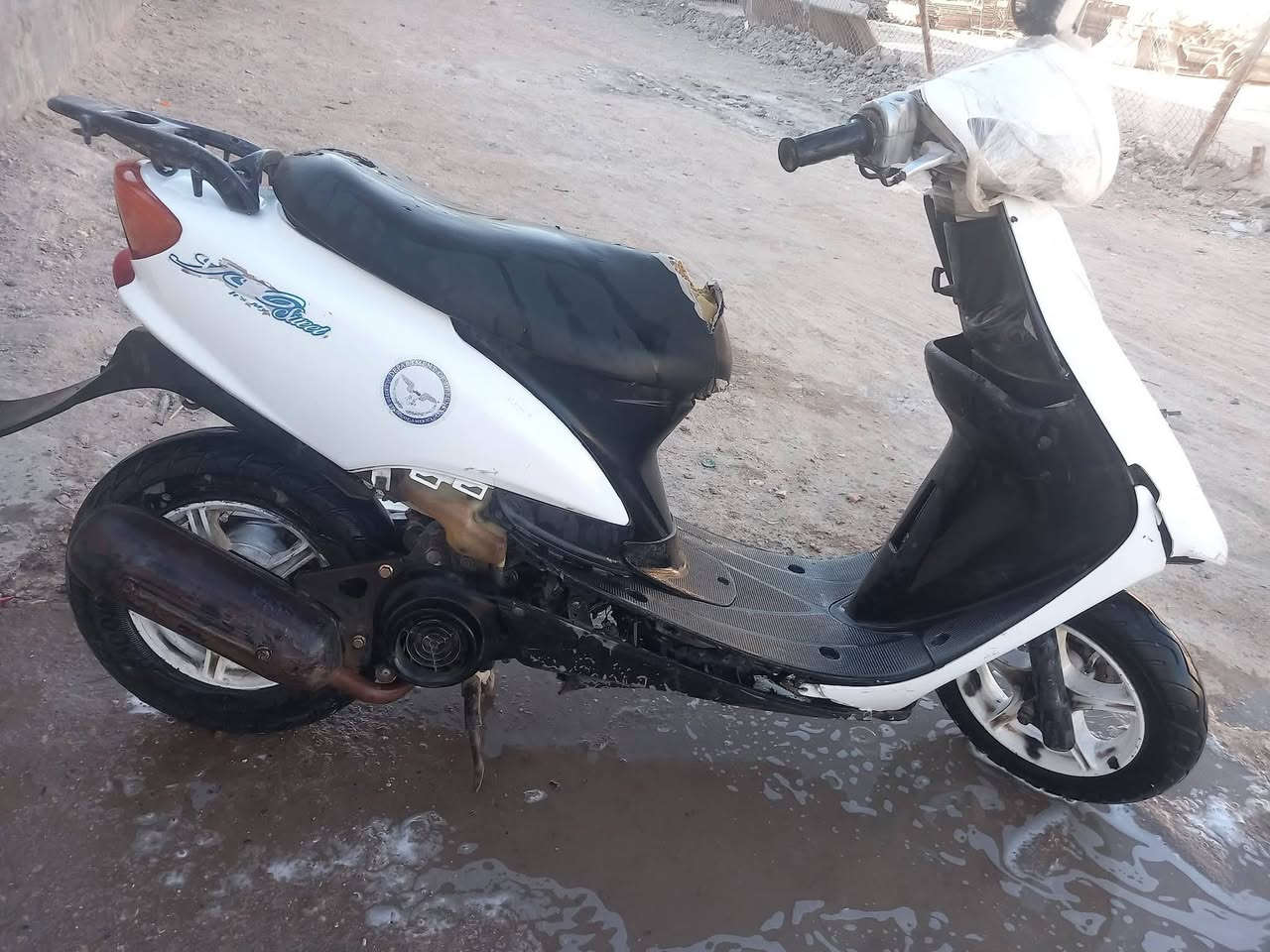 عصفوريه شغاله للبيع 
توني مجفتها تشتغل هندر الكف الكدام حاليا مبدله بجديد 
مستعجل عله بيعها ب120 قفل 🔒 متواجد عله الفيس واتساب كلشي ***********
