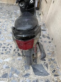 سكنس فحل أبيع كوم حديد مكفولة سرقة سعر ٢٧٥ وبيهة مجال  مكان بغداد بلدي...