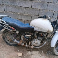 هيوشة • بدون اوراق • نضيف