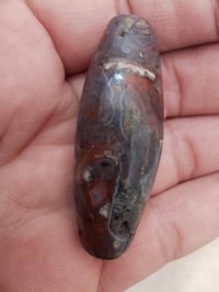 الداودي الأحمر • نوادر • مقاس ٤٠