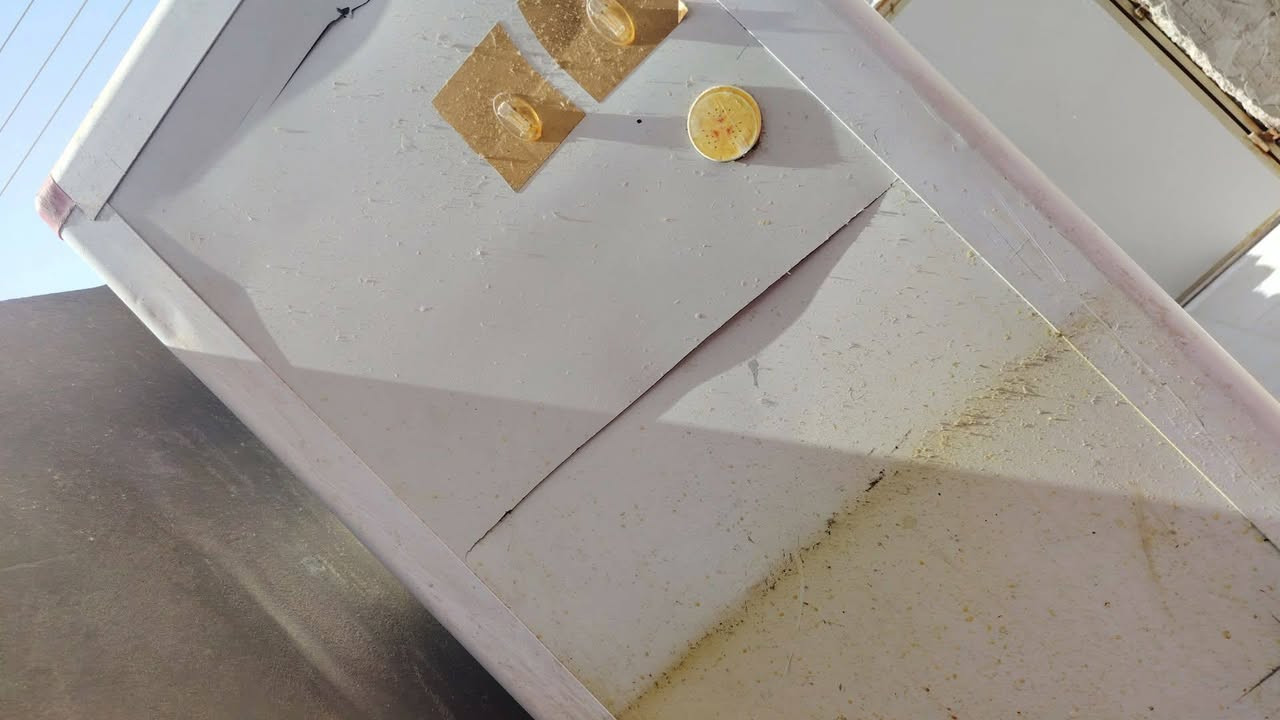 كاونتر بي اضرار بسيطه قفل ب ٥٠ لان حجمه جبير والالمنيوم مالته مابي شي نظيف وقوي


**إذا كنت صاحب هذا الإعلان وتريد حذفه لأي سبب، رجاءا أرسل رسالة إلى الدعم الفني**