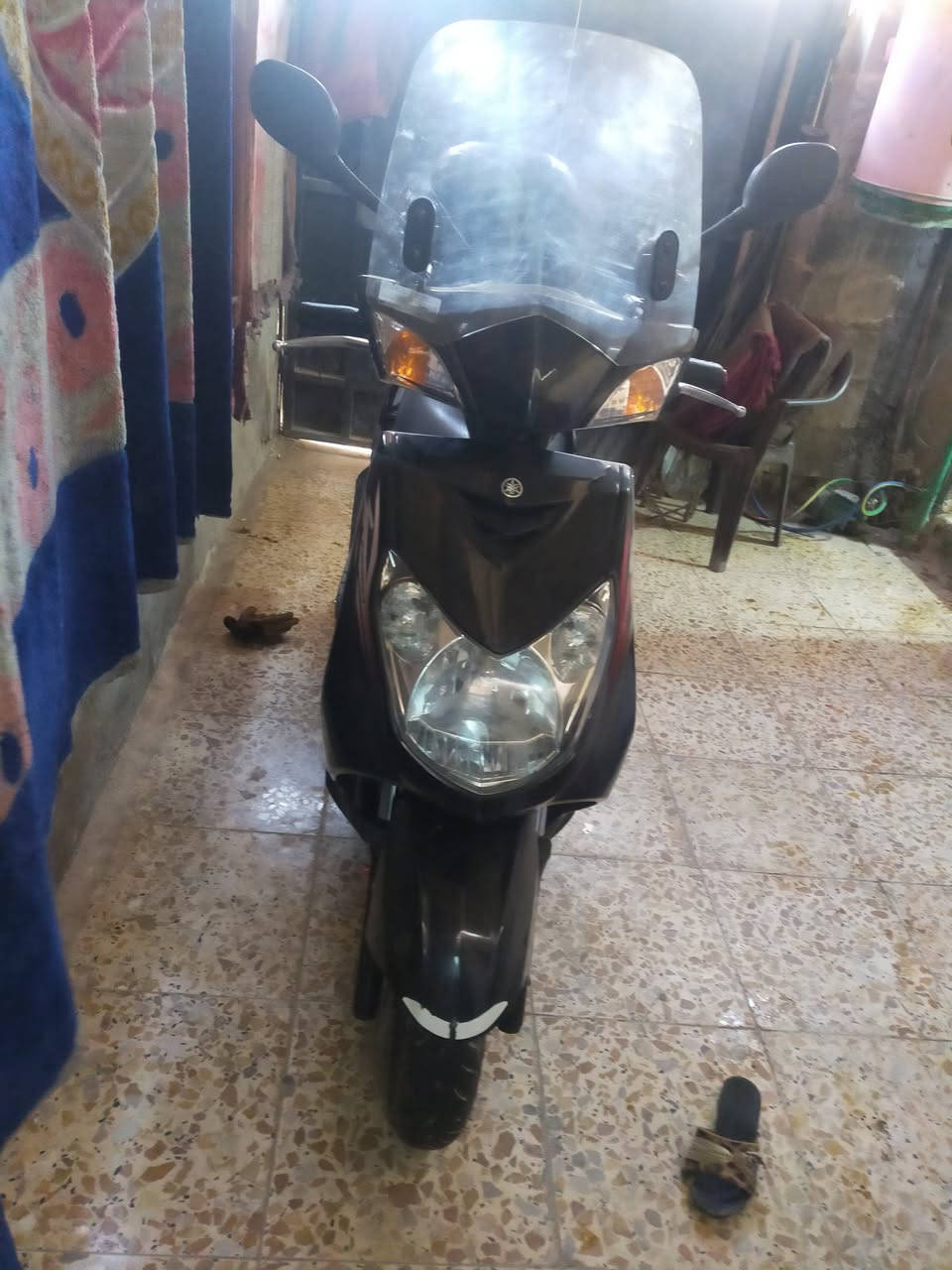 سكنس فحل ياباني البيع خمس ايام من نازله رمبه
***********
