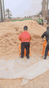 تبن البيع زوج 6 مكانك مشخاب ***********
