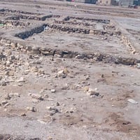 أرض زراعي • ٢٠٠م • سند ٢٥