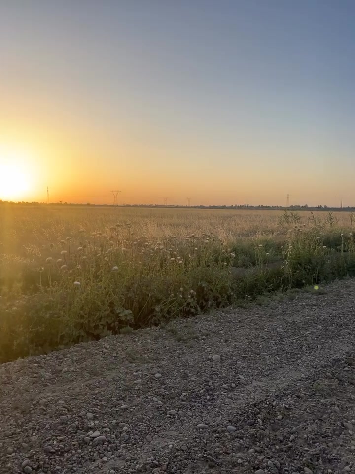 دوانم طابو زراعي سند ٢٥ ابي غريب منطقة السميلات 
الارض مخصصه مزارع وشاليهات 
وجه الدونم ٥٠في٥٠
سعر الدونم الواحد ٥٥ وبي مجال 
للاستفسار *********** وتساب
