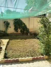 طابو صرف • ٣٠٠م • واجهة ١٥