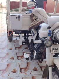 ستوته • موديل ٢٠٢١ • أوراق شركة