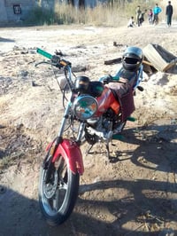 دايون • مكفوله • جاهزة