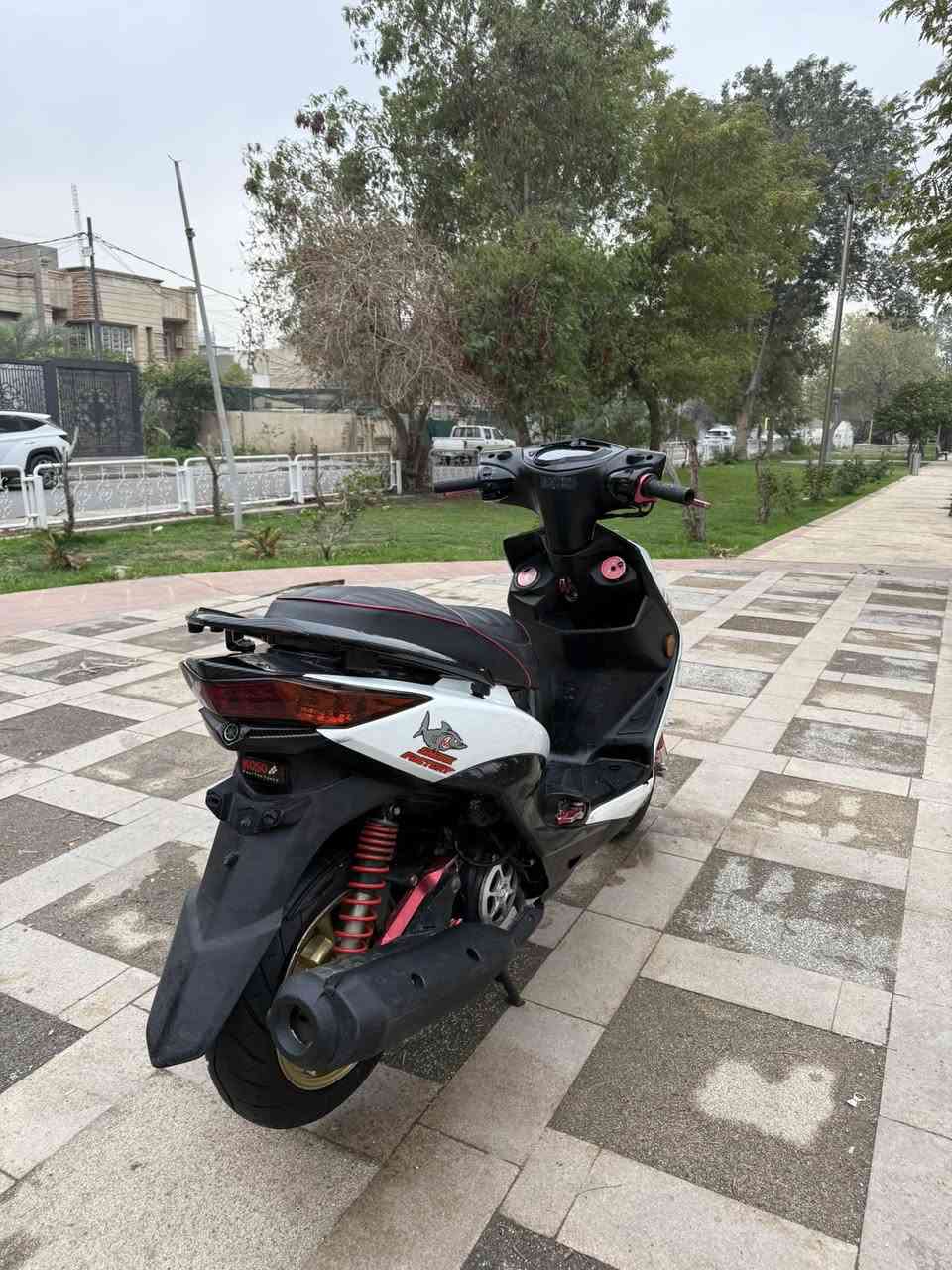 السلام عليكم
سكنس لد للبيع مزوعه غراض 
سيت كرزي كامل

يدات بريك
قبق بانزين اطار كاربون
صدر بطاله كرزي
فج كرزي
فلنجه 
وياله مشيف ذهبي
ملاقط كرزيه
بيهة زنون كلش قوي
طلاعات كرزيه
قباقه كور كرزيه  
قبق جوزه كرزي
ستاند صفح 
شمعه كرزيه
قبق كلجات كوسو 
قطره اكسل
قطره دهن 
هاوزن 

بيهة هواي غراض بعد

للتواصل خاص او واتساب ***********
