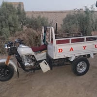ستوته • موديل 13 • دايون 24